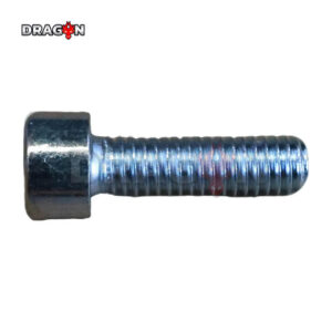 R22R32 Hexagon socket bolt-M6x1-20-8.8-silver zinc [LP0116011777]