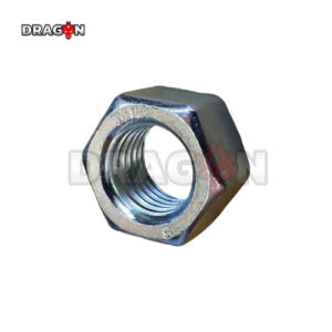 R18 Nut-M20x2.5---White zinc [LP0116011797]