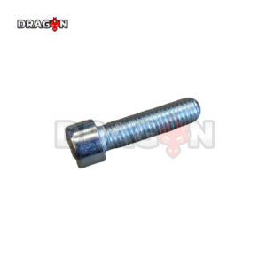 R18R22 Hexagon socket bolt-M8x1.25-30-8.8-silver zinc [LP0116011841]