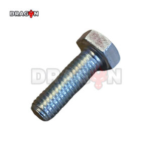 R18 Hexagonal Bolt-M8x1.25-25-8.8-Silver Zinc [LP0116011662]