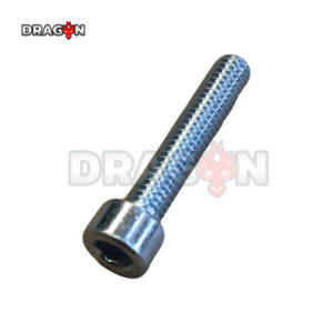 R18R22 Hexagon socket bolt-M6x1-30-8.8-silver zinc [LP0116011750]